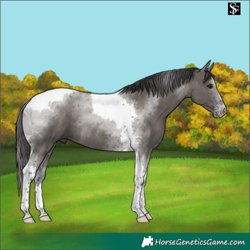 Horse Color:Smoky Grullo Tobiano