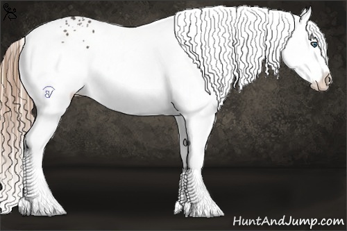 Horse Color:White Spotted Liver Chestnut Splash 