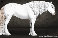 Horse Color:White Spotted Liver Chestnut Splash 