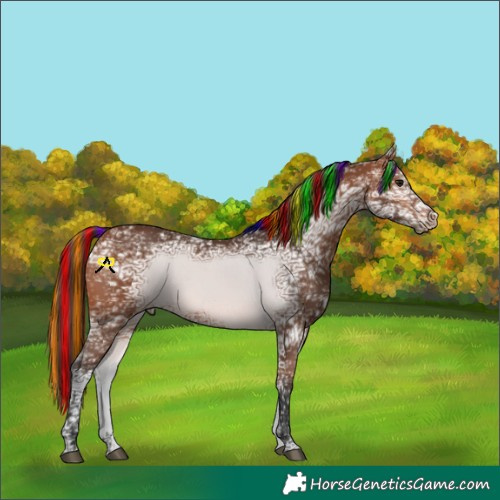 Horse Color:Painted Bay Ice