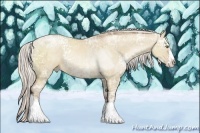 Horse Color:White Spotted Silver Grullo Ice Pearl Sabino Splash