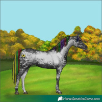 Horse Color:Painted Black Ice 