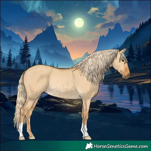 Horse Color:Palomino Dun Rabicano 