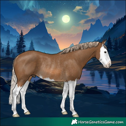 Horse Color:Chocolate Palomino Splash Rabicano