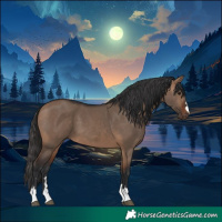 Horse Color:Bay Dun 