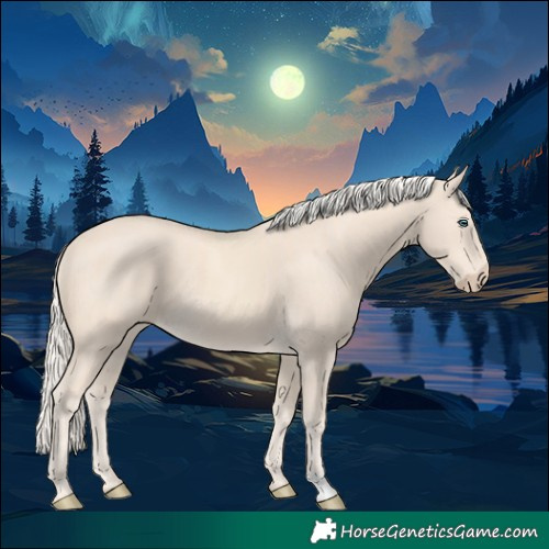 Horse Color:Cremello