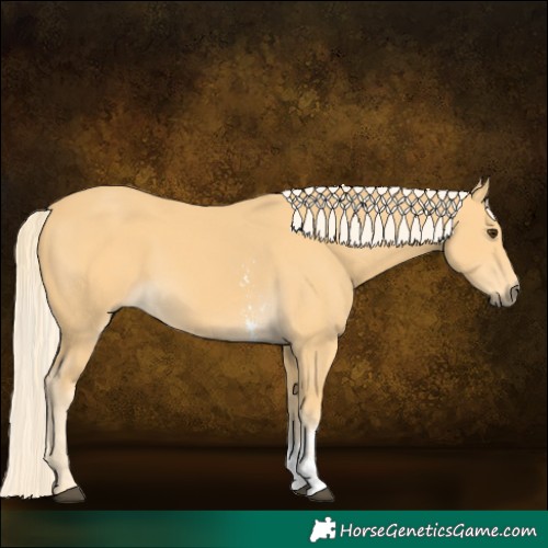 Horse Color:Palomino Sabino