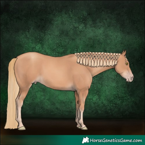 Horse Color:Gold Champagne