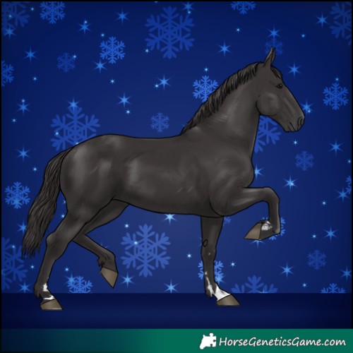 Horse Color:Smoky Black and Smoky Black