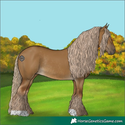 Horse Color:Chocolate Palomino Dun Rabicano