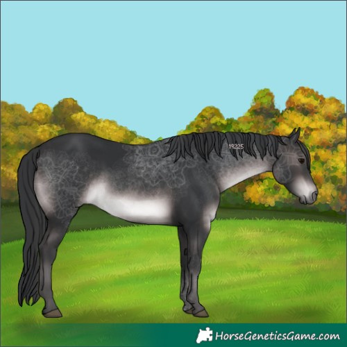 Horse Color:Platinum Brown