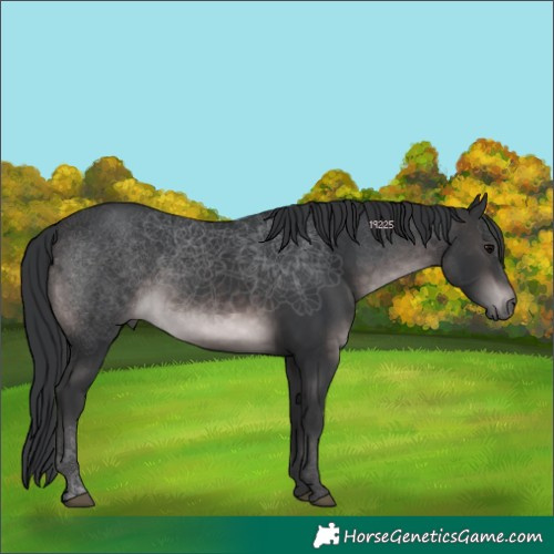 Horse Color:Platinum Brown Rabicano 