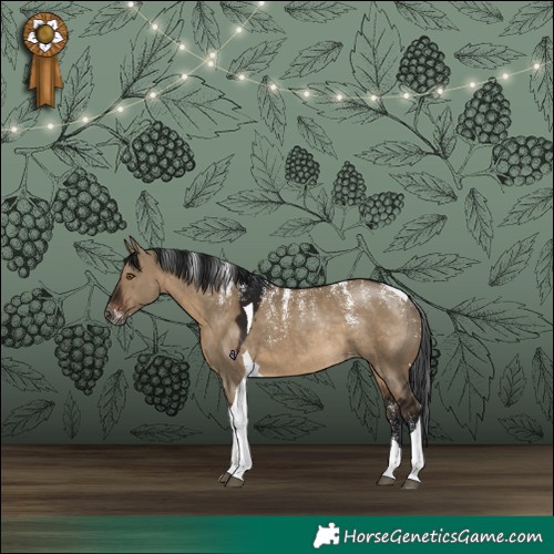 Horse Color:Powder White Gray Brown Dun Tobiano Skewed Appaloosa Rabicano 