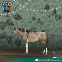 Horse Color:Powder White Gray Brown Dun Tobiano Skewed Appaloosa Rabicano