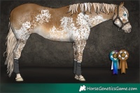 Horse Color:Chocolate Palomino Splash Tobiano Rabicano