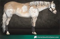 Horse Color:Chocolate Palomino Splash Tobiano Rabicano