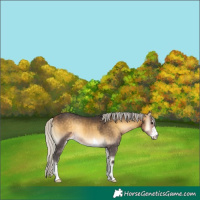 Horse Color:Silver Buckskin Onyx