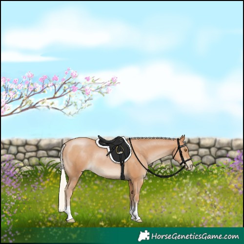 Horse Color:Silver Black Pearl
