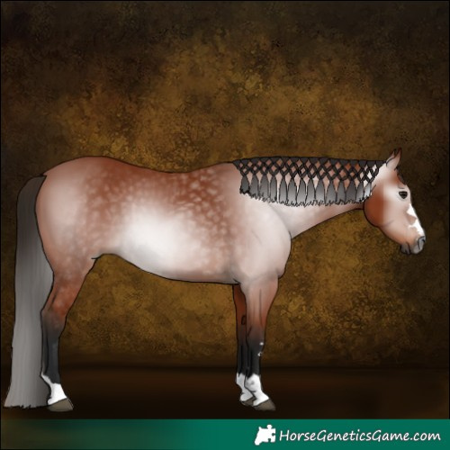 Horse Color:Gray Bay 