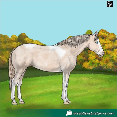 Horse Color:Perlino Merle Splash Tobiano
