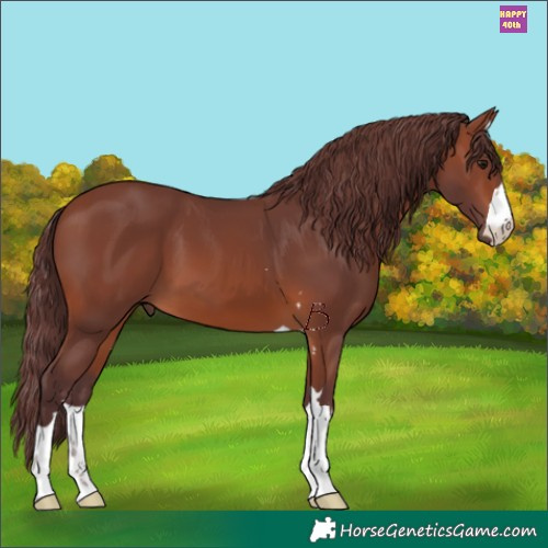Horse Color:Chocolate Brown