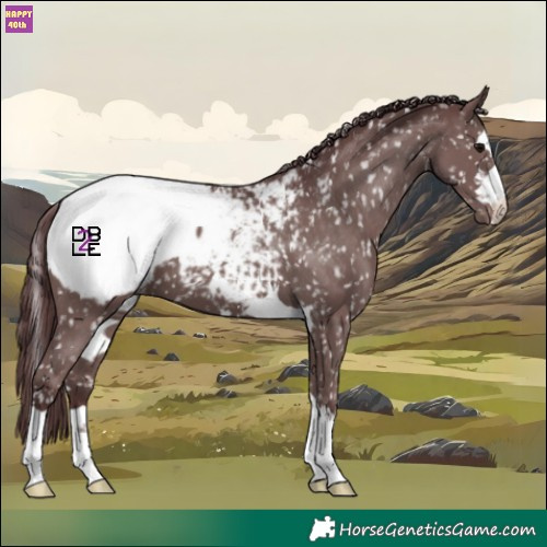 Horse Color:Chocolate Black Snowcap