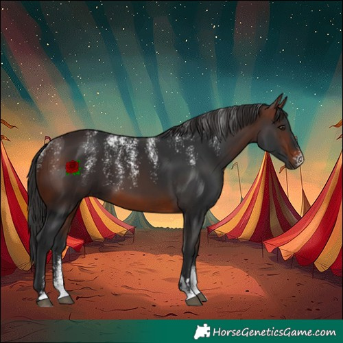 Horse Color:Powder White Brown