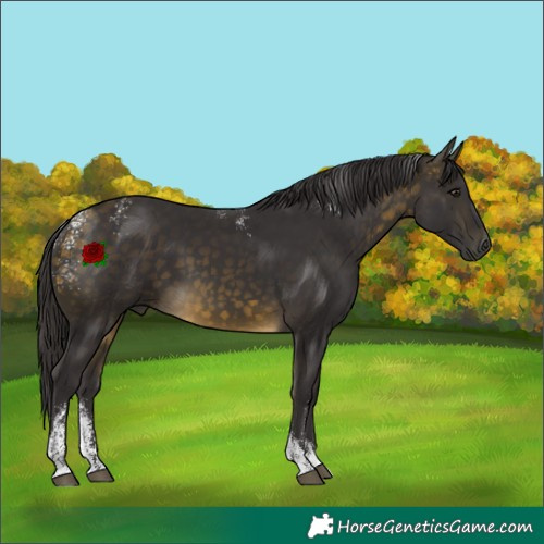 Horse Color:Powder White Buckskin