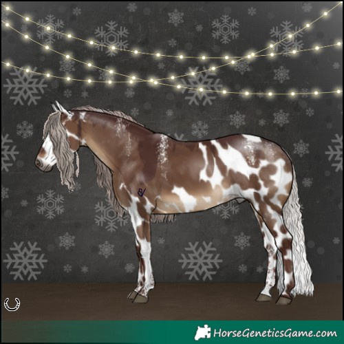 Horse Color:Powder White Gray Chocolate Silver Bay Dun Skewed Appaloosa Rabicano