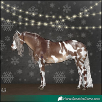 Horse Color:Powder White Gray Chocolate Silver Bay Dun Skewed Appaloosa Rabicano