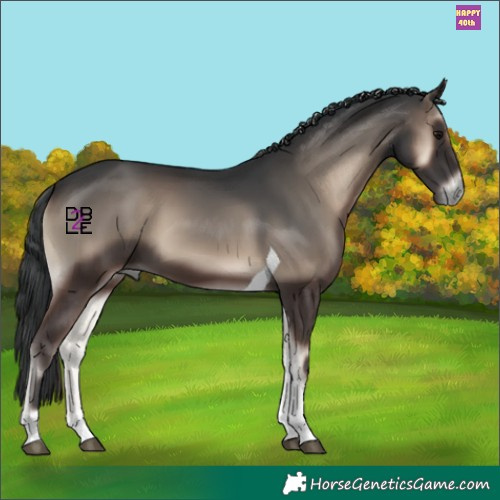 Horse Color:Blue Onyx Tobiano 