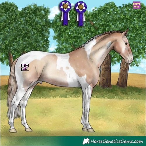 Horse Color:Blue Onyx Pearl Tobiano