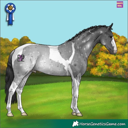 Horse Color:Black Tobiano