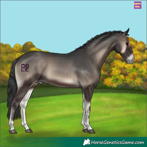 Horse Color:Blue Onyx Tobiano