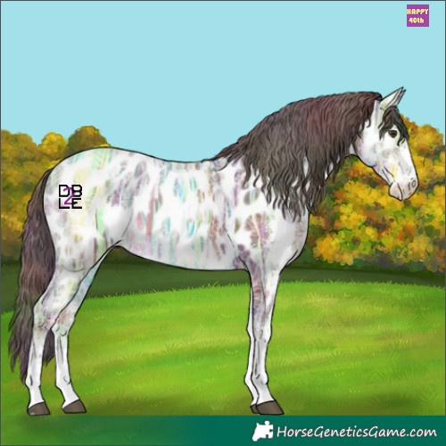 Horse Color:Nacre White Spotted Liver Chestnut Ice Appaloosa 