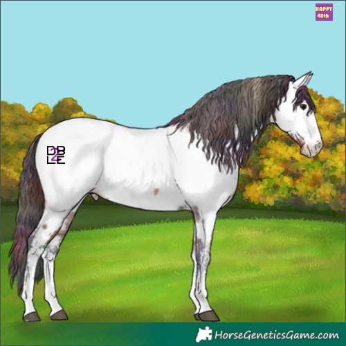 Horse Color:Nacre White Spotted Brown Dun Appaloosa Brindle