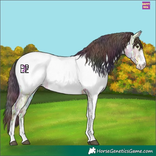 Horse Color:Nacre White Spotted Liver Red Dun Ice Appaloosa 