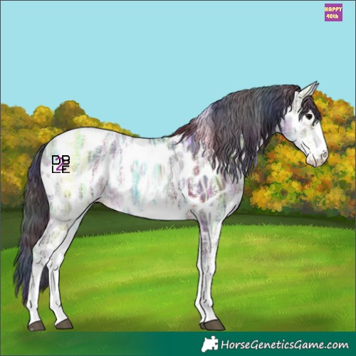 Horse Color:Nacre White Spotted Brown Ice Appaloosa 