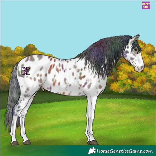 Horse Color:Nacre White Spotted Brown Dun Appaloosa 