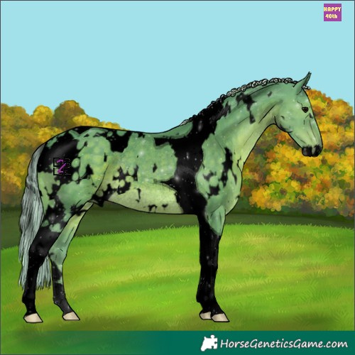 Horse Color:Void Watercolor White Spotted Silver Black Tobiano Rabicano