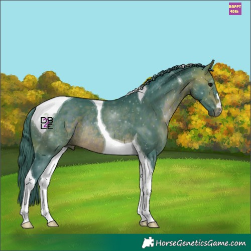 Horse Color:Watercolor Brown Tobiano Rabicano 