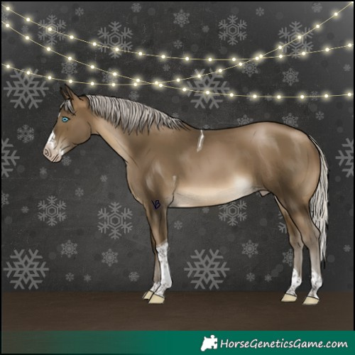 Horse Color:Gray Silver Buckskin Pearl Splash Tobiano Rabicano 