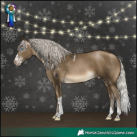 Horse Color:Gray Silver Buckskin Pearl Splash Tobiano Rabicano