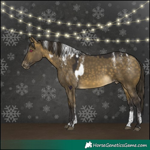 Horse Color:Powder White Buckskin Dun Mushroom Skewed Appaloosa 