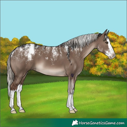 Horse Color:Powder White Liver Red Dun Mushroom Splash 