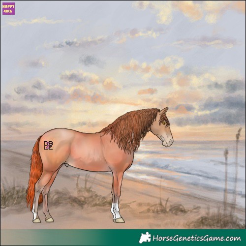Horse Color:Brown Pearl