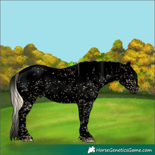 Horse Color:Void Gold Cream Champagne Dun Sabino 