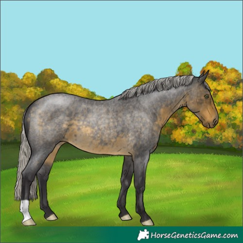 Horse Color:Silver Buckskin Roan 