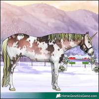 Horse Color:Gray Painted White Spotted Buckskin Onyx