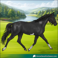 Horse Color:Liver Chestnut Tobiano